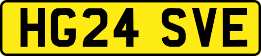 HG24SVE