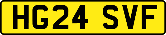 HG24SVF