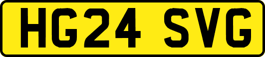 HG24SVG