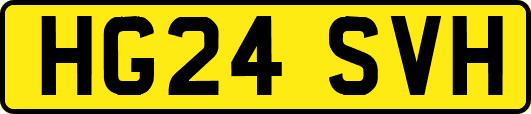 HG24SVH