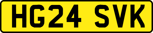 HG24SVK