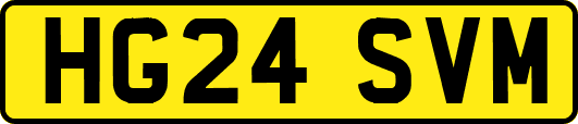 HG24SVM