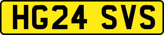 HG24SVS