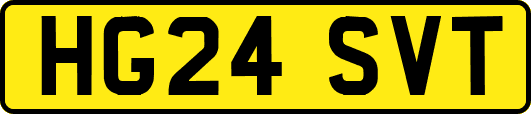 HG24SVT