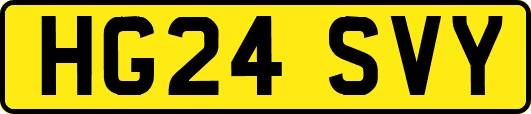 HG24SVY