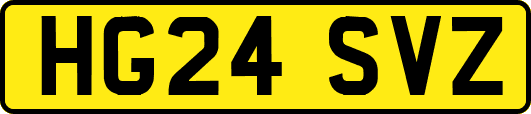 HG24SVZ