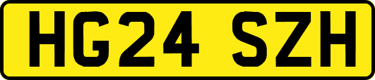 HG24SZH