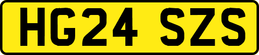 HG24SZS