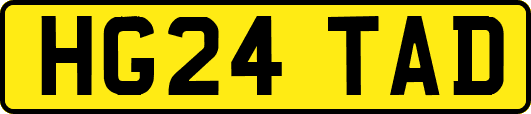 HG24TAD