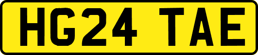 HG24TAE