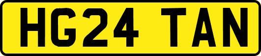 HG24TAN