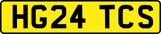 HG24TCS