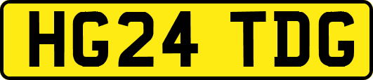 HG24TDG