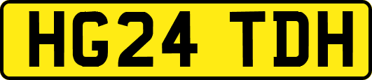 HG24TDH