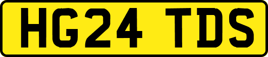 HG24TDS