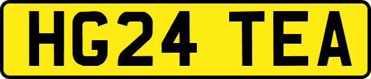 HG24TEA
