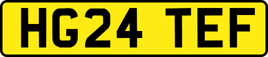 HG24TEF