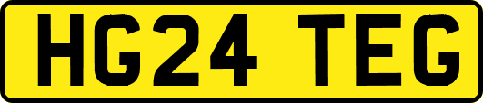 HG24TEG