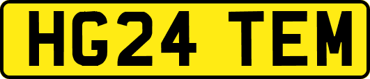 HG24TEM