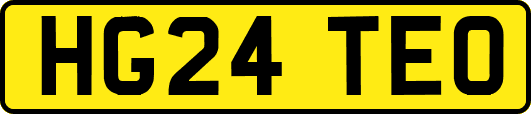 HG24TEO