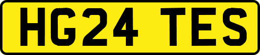 HG24TES
