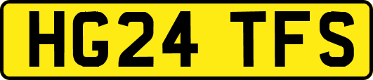 HG24TFS
