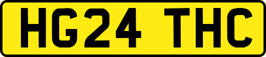 HG24THC