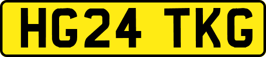HG24TKG