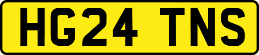 HG24TNS