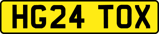 HG24TOX
