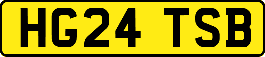 HG24TSB