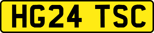 HG24TSC