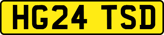 HG24TSD