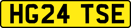 HG24TSE