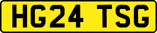 HG24TSG
