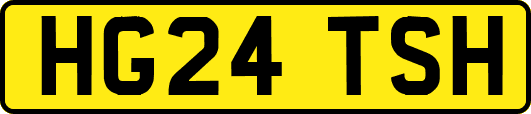 HG24TSH