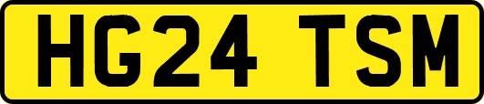 HG24TSM