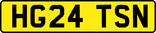 HG24TSN
