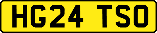 HG24TSO