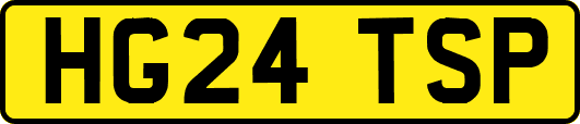 HG24TSP