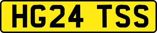 HG24TSS