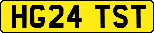 HG24TST