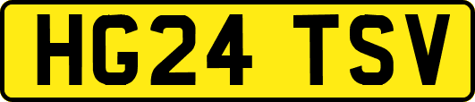 HG24TSV