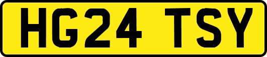 HG24TSY