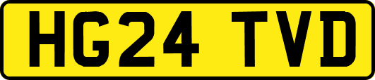 HG24TVD