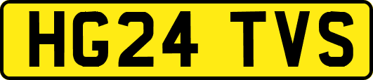 HG24TVS