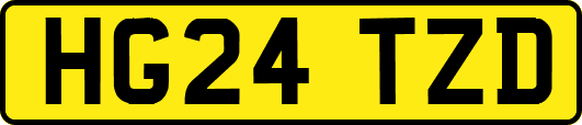 HG24TZD