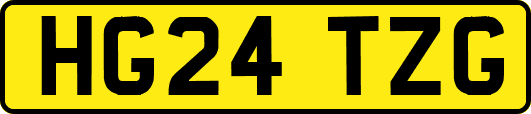 HG24TZG