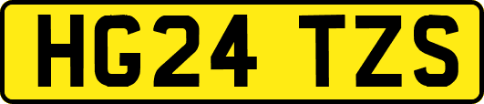 HG24TZS