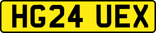 HG24UEX